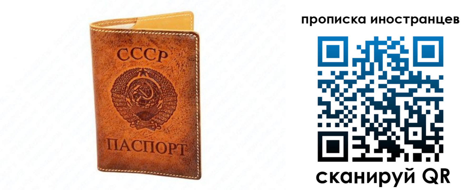 прописка для школы в Красноярском крае